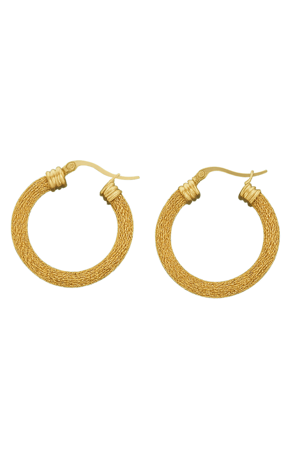 Variety of Stainless Steel 18K Gold Plated Waterproof Hypoallergenic Geometric Trend Hoop Earrings