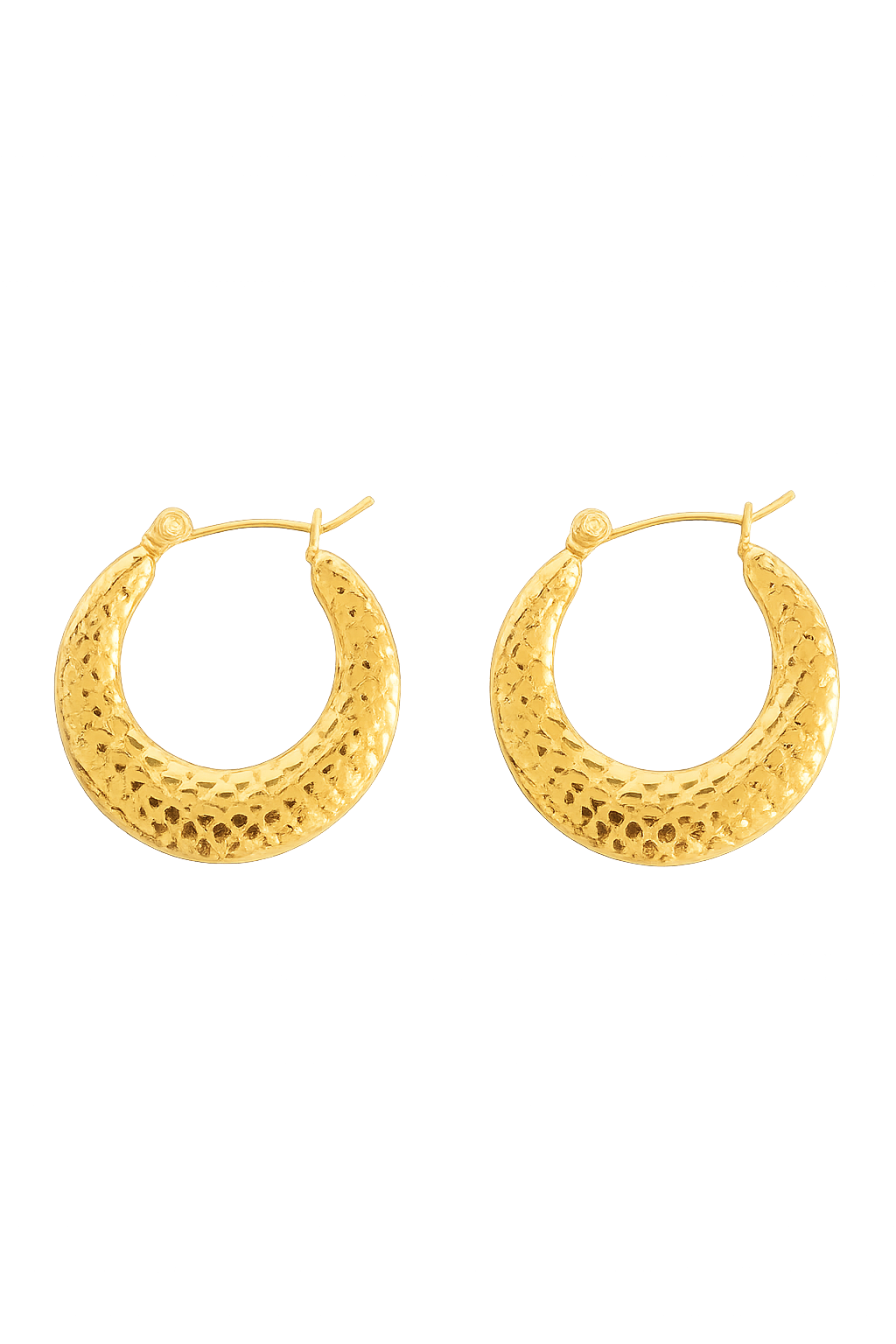 Variety of Stainless Steel 18K Gold Plated Waterproof Hypoallergenic Geometric Trend Hoop Earrings